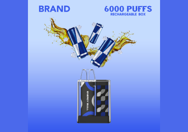 Rechargeable Pod Kit (370 × 260px)