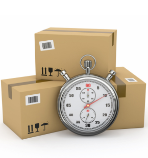 Timely Delivery (290 × 310px)